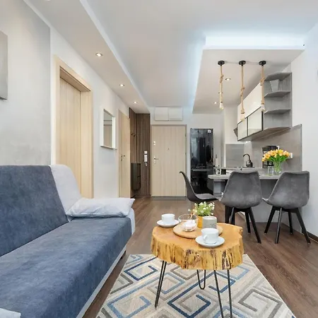 Lejlighed Modern Luzycka By Renters *