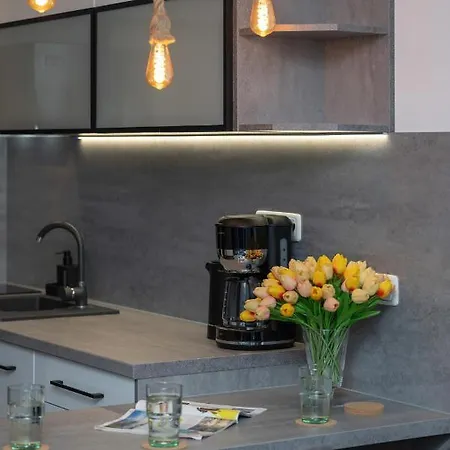 Modern Luzycka By Renters Διαμέρισμα *