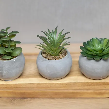 Modern Luzycka By Renters Διαμέρισμα